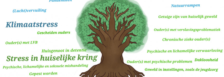 Artikel - De impact van maatschappelijke stress