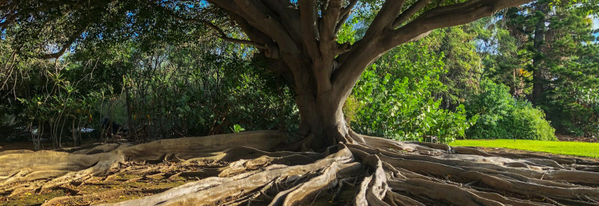 Zien, luisteren, steunen: wat jongeren echt nodig hebben