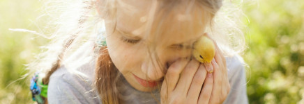 Webinar Lancering Jeugdtrauma.nl -> 2 december